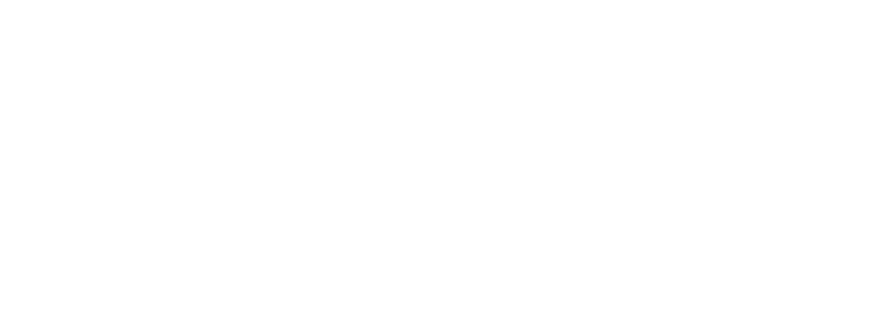 Tech Fox Solutions