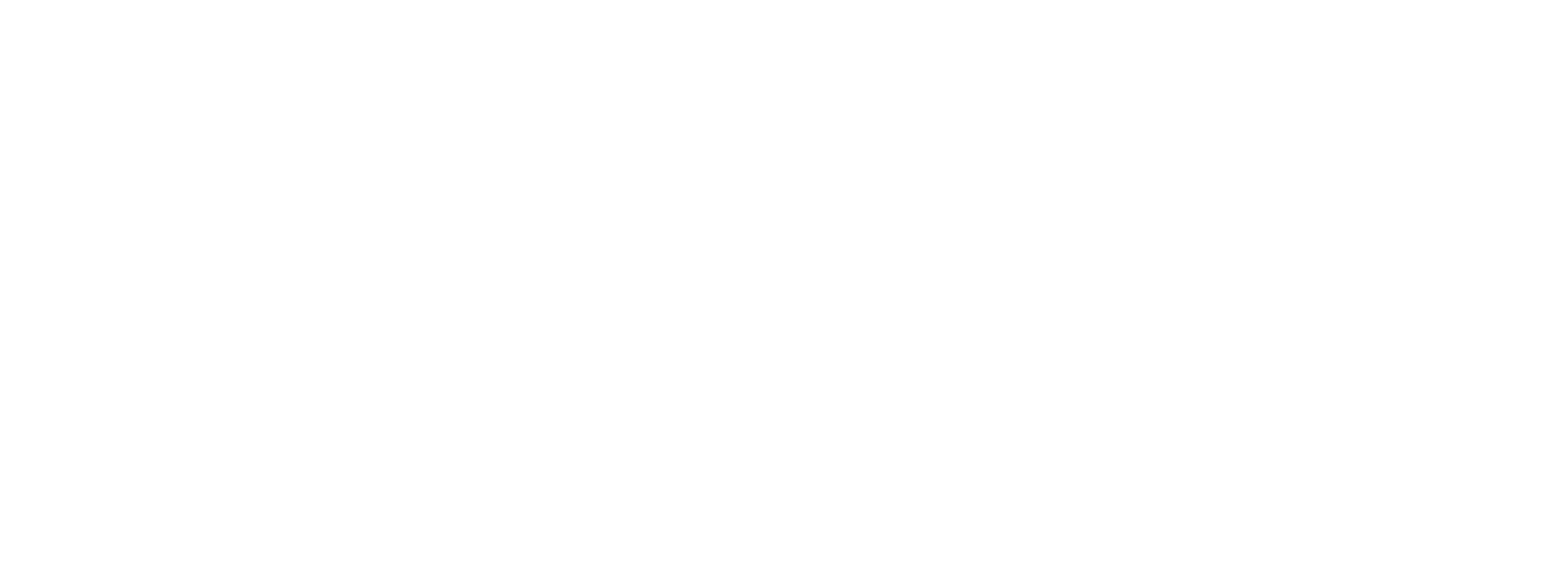 Tech Fox Studios